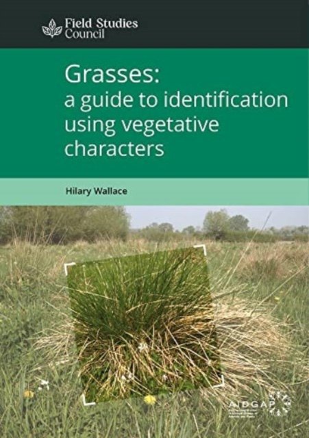 Cover for Hilary Wallace · Grasses: a guide to identification using vegetative characters (Paperback Book) (2022)