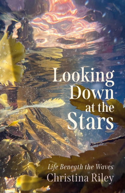 Cover for Christina Riley · Looking Down at the Stars: Life beneath the waves (Innbunden bok) (2025)