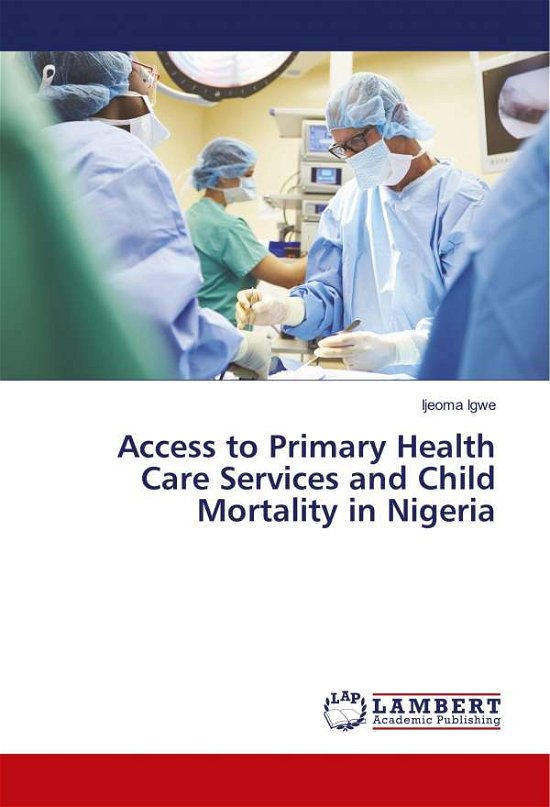 Cover for Igwe · Access to Primary Health Care Serv (Bog) (2019)