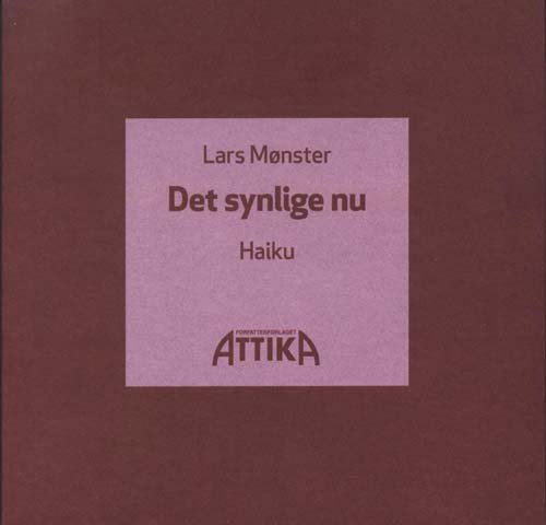 Cover for Lars Mønster · Det synlige nu (Paperback Book) [1.º edición] (2009)