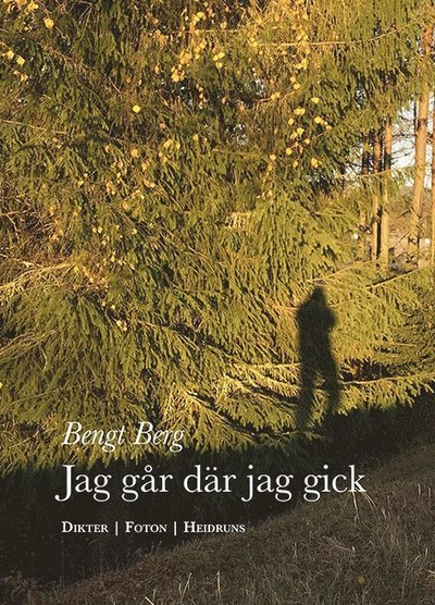 Jag går där jag gick - Berg Bengt - Books - Heidruns Förlag - 9789186699550 - October 3, 2018