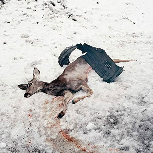 Cover for White Ward · Debemur Morti (CD)