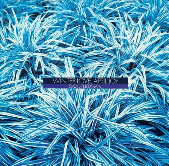 Cover for David Friedman · Winter Love April Joy (CD) [Japan Import edition] (2024)