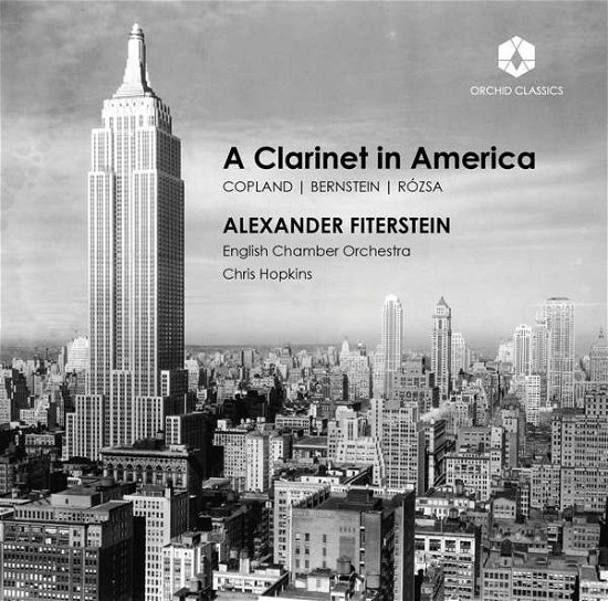 Cover for Fiterstein / Eco · A Clarinet In America (CD) (2021)