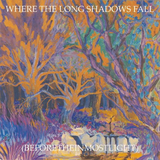 Current 93 · The Long Shadow Falls (CD) (2024)