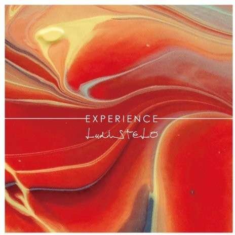 Cover for Ludistelo · Experience (CD) (2014)