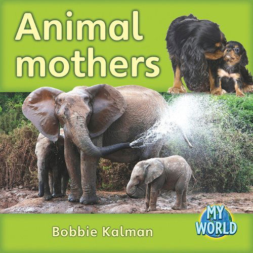 Cover for Bobbie Kalman · Animal Mothers (Bobbie Kalman's Leveled Readers: My World: D) (Hardcover Book) (2011)