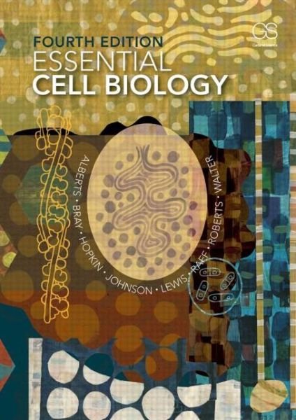 Essential Cell Biology - Bruce Alberts - Bøker - WW Norton & Co - 9780815344551 - 16. oktober 2013
