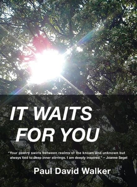 Cover for Paul David Walker · It Waits for You (Paperback Bog) (2015)