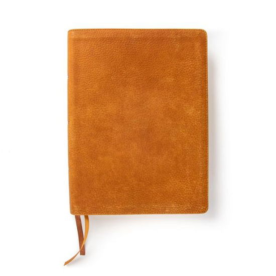 Cover for CSB Bibles by Holman · Lifeway Women's Bible, Butterscotch Genuine Leather (Lederbuch) (2022)