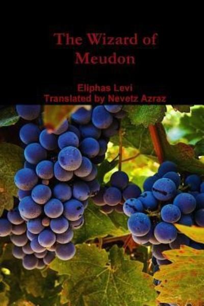 Cover for Nevetz Azraz · The Wizard of Meudon (Paperback Book) (2017)