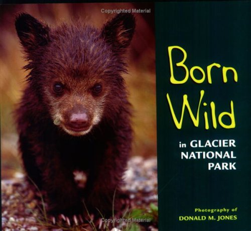 Cover for Photography by Donald M. Jones · Born Wild in Glacier National Park (Paperback Book) [First edition] (2005)