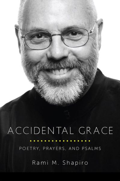 Cover for Rami Shapiro · Accidental Grace: Poetry, Prayers, and Psalms (Paperback Book) (2015)