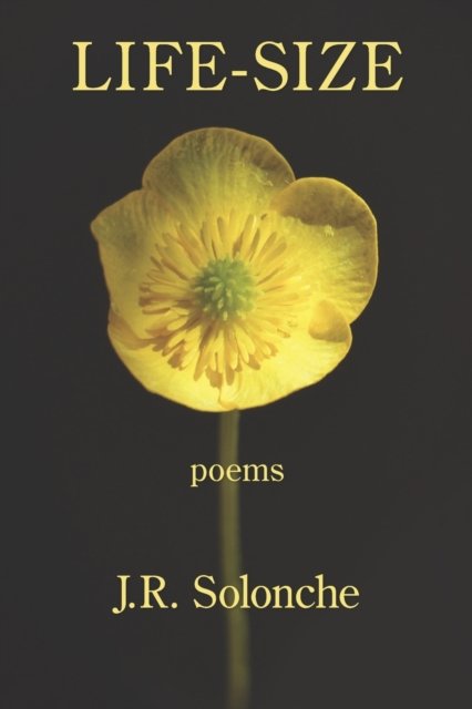 Cover for J.R. Solonche · Life-Size (Paperback Book) (2021)