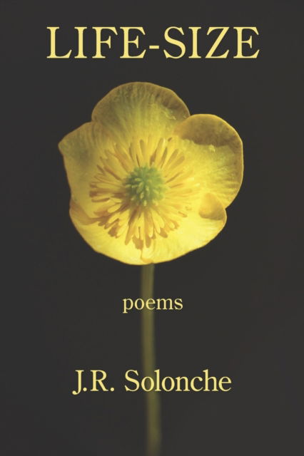 Life-Size - J.R. Solonche - Books - Kelsay Books - 9781639800551 - December 13, 2021