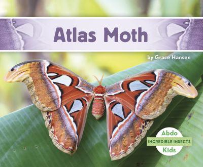 Atlas Moth - Incredible Insects - Grace Hansen - Books - North Star Editions - 9781644945551 - August 1, 2021