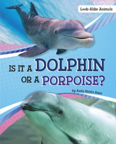 Cover for Anita Nahta Amin · Is it a Dolphin or a Porpoise (Hardcover Book) (2021)