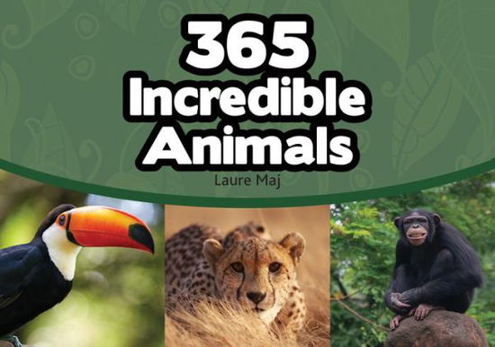 Cover for Laure Maj · 365 Incredible Animals (Paperback Book) (2016)