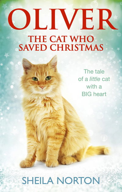 Cover for Sheila Norton · Oliver The Cat Who Saved Christmas (Paperback Book) (2016)