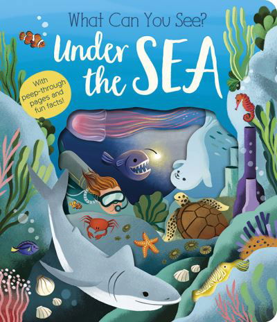 Cover for Molly Littleboy · What Can You See? Under the Sea - What Can You See? (Board book) (2024)