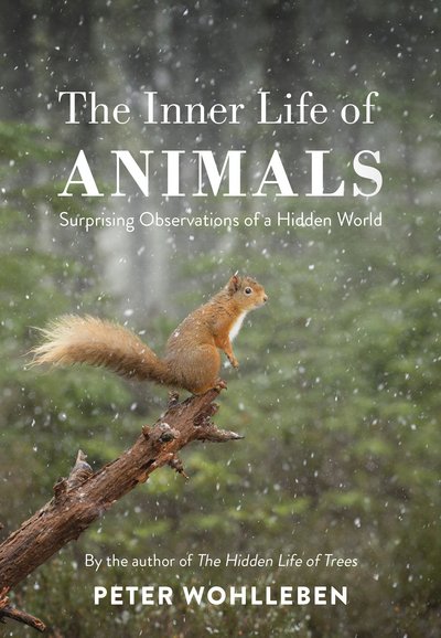 Cover for Wohlleben · The Inner Life of Animals (Bog) (2017)