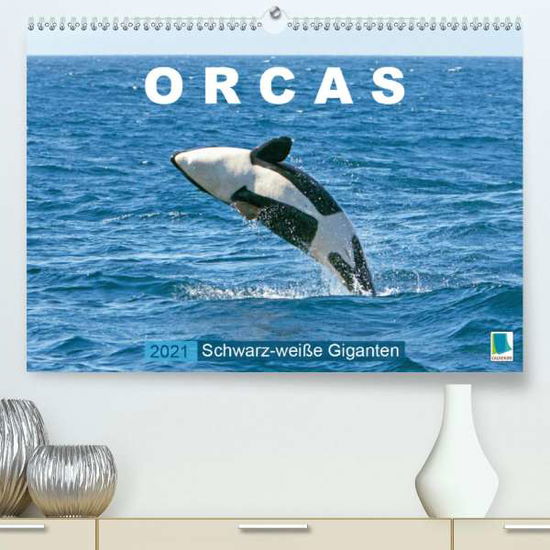 Cover for Orcas · Schwarz-weiße Giganten (Premium, (Book)