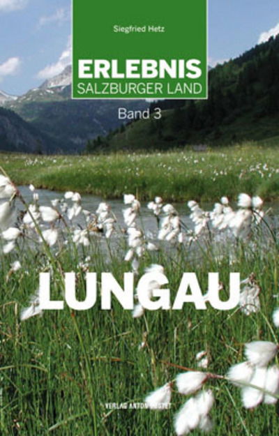 Cover for Siegfried Hetz · Hetz:lungau (Book)