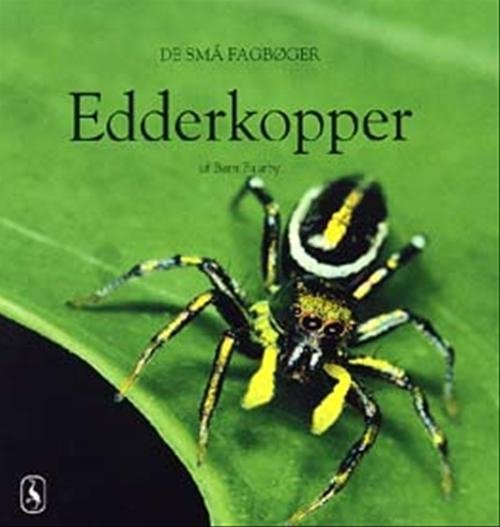Cover for Bent Faurby · De små fagbøger: Edderkopper (Poketbok) [1:a utgåva] (2002)