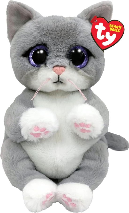 Cover for Ty: Special Beanie Babies · Morgan Grey Cat - Beanie Bellies - Reg (Paperback Book) (2023)