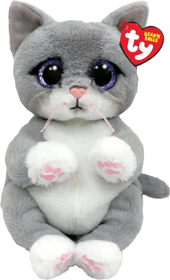 Cover for Ty: Special Beanie Babies · Morgan Grey Cat - Beanie Bellies - Reg (Paperback Bog) (2023)