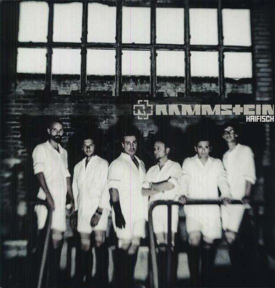 Cover for Rammstein · Haifisch (12&quot;) (2005)