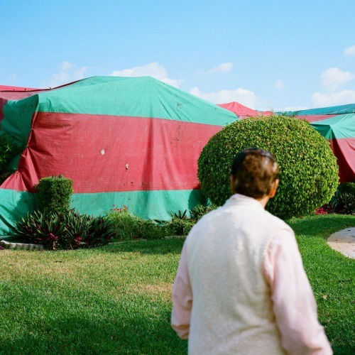 Cover for Blitzen Trapper · Holy Smokes Future Jokes (LP) [Limited edition] (2020)