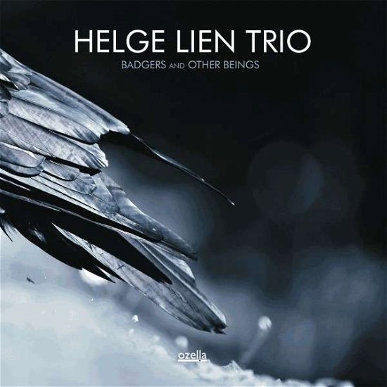 Cover for Helge -Trio- Lien · Badgers &amp; Other Beings (LP) [Limited edition] (2014)