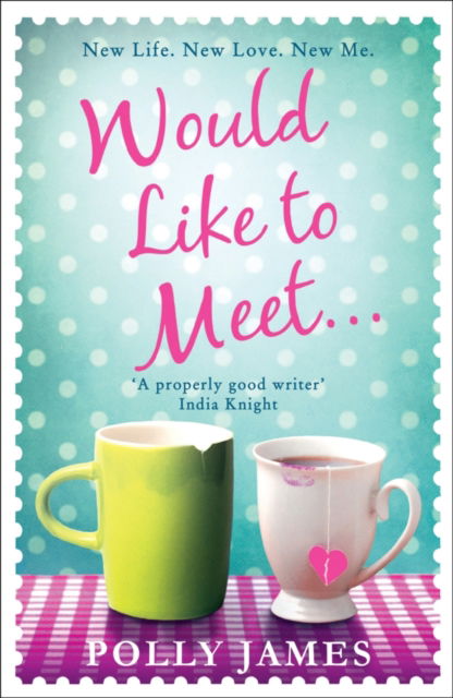 Cover for Polly James · Would Like to Meet (Paperback Book) (2016)