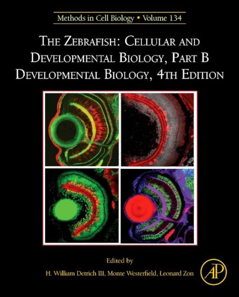 Cover for The Zebrafish: Cellular and Developmental Biology, Part B Developmental Biology (Gebundenes Buch) (2016)