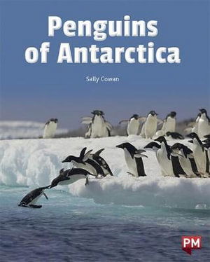 Cover for Sally Cowan · Penguins of Antarictica (Paperback Book)