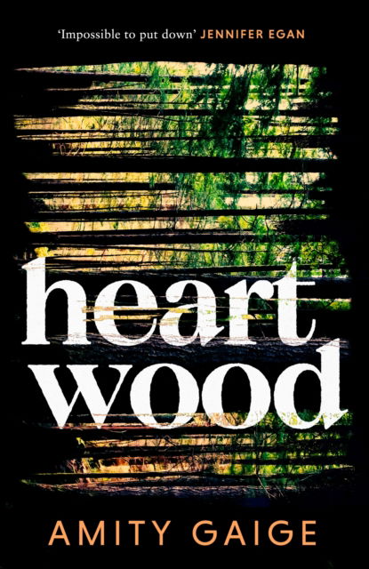 Cover for Amity Gaige · Heartwood: 'nearly impossible to put down' Jennifer Egan (Hardcover Book) (2025)