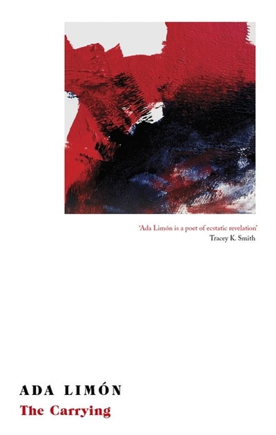 The Carrying: Winner of the National Book Critics Circle Award for Poetry - Ada Limon - Books - Little, Brown Book Group - 9781472154552 - February 7, 2019