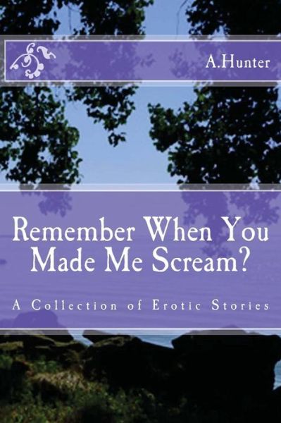 Cover for A Hunter · Remember when You Made Me Scream?: a Collection of Erotic Stories (Paperback Book) (2012)