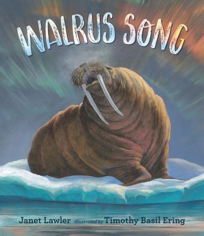 Walrus Song - Janet Lawler - Książki - Candlewick Press - 9781536207552 - 7 grudnia 2021