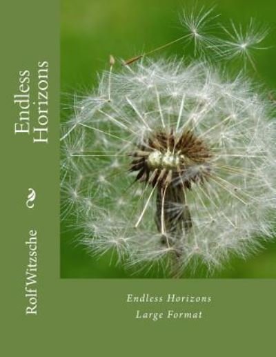 Cover for Rolf A F Witzsche · Endless Horizons (Paperback Book) [size L] (2016)