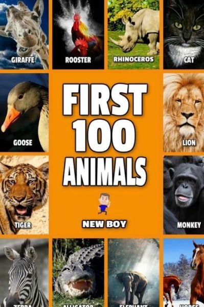 Cover for New Boy · First 100 Animals (Paperback Bog) (2017)