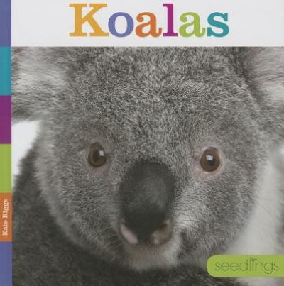 Cover for Kate Riggs · Koalas (Seedlings) (Hardcover Book) (2014)