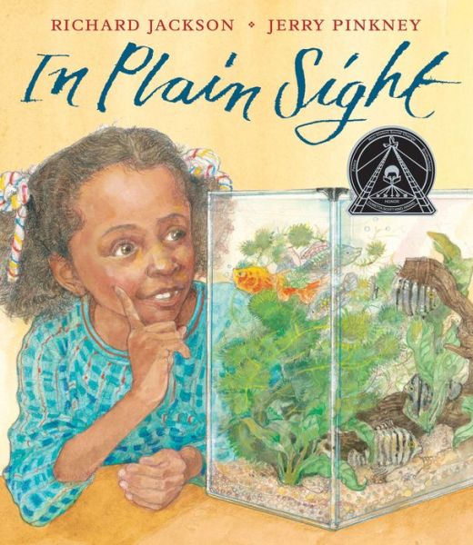 In plain sight - Richard Jackson - Books - Roaring Brook Press - 9781626722552 - September 20, 2016