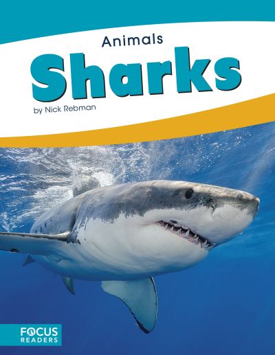 Cover for Nick Rebman · Animals: Sharks (Paperback Book) (2018)