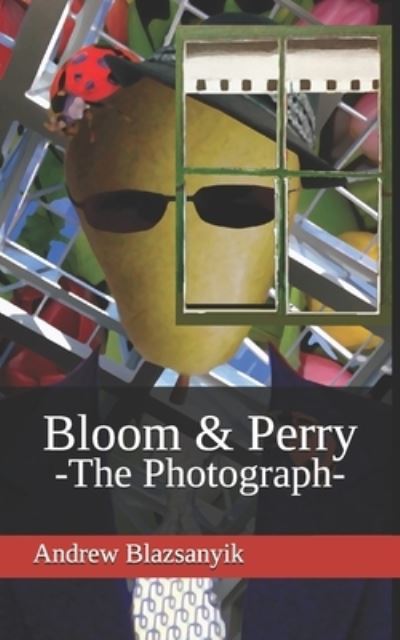 Andrew Blazsanyik · Bloom & Perry: The Photograph (Paperback Book) (2019)