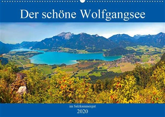 Cover for Kramer · Der schöne Wolfgangsee im Salzka (Bog)