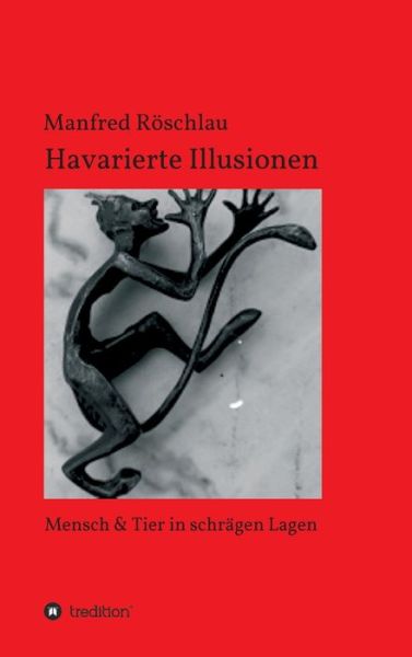 Cover for Röschlau · Havarierte Illusionen (Book) (2019)