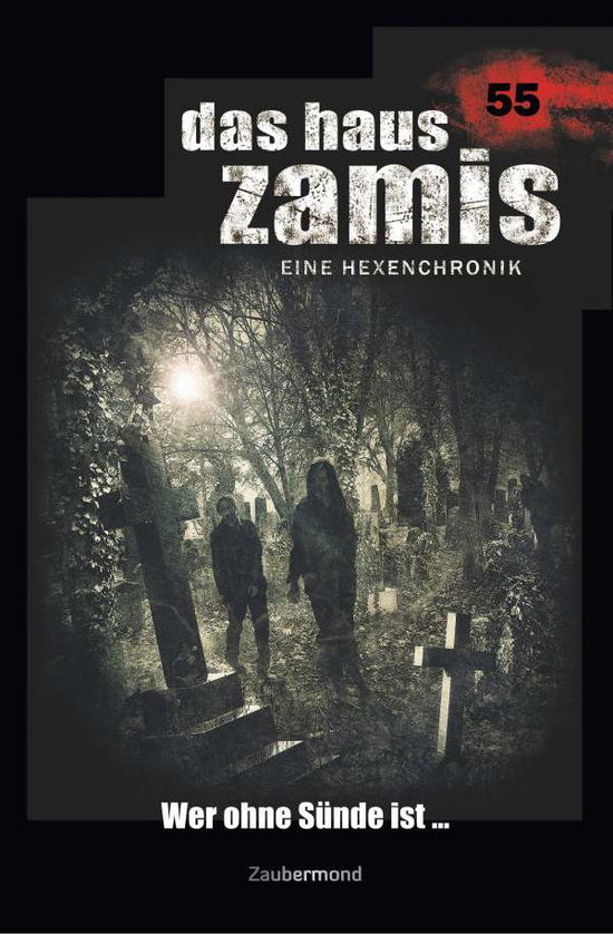 Cover for Dee · Das Haus Zamis 55 - Wer ohne Sünde (Book)