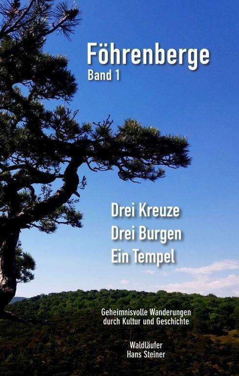 Cover for Steiner · Drei Kreuze, drei Burgen, ein T (Bok)